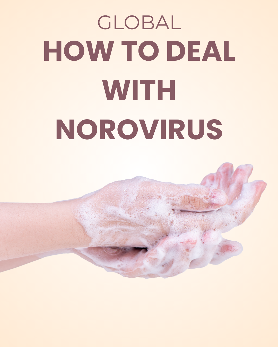How to deal with norovirus