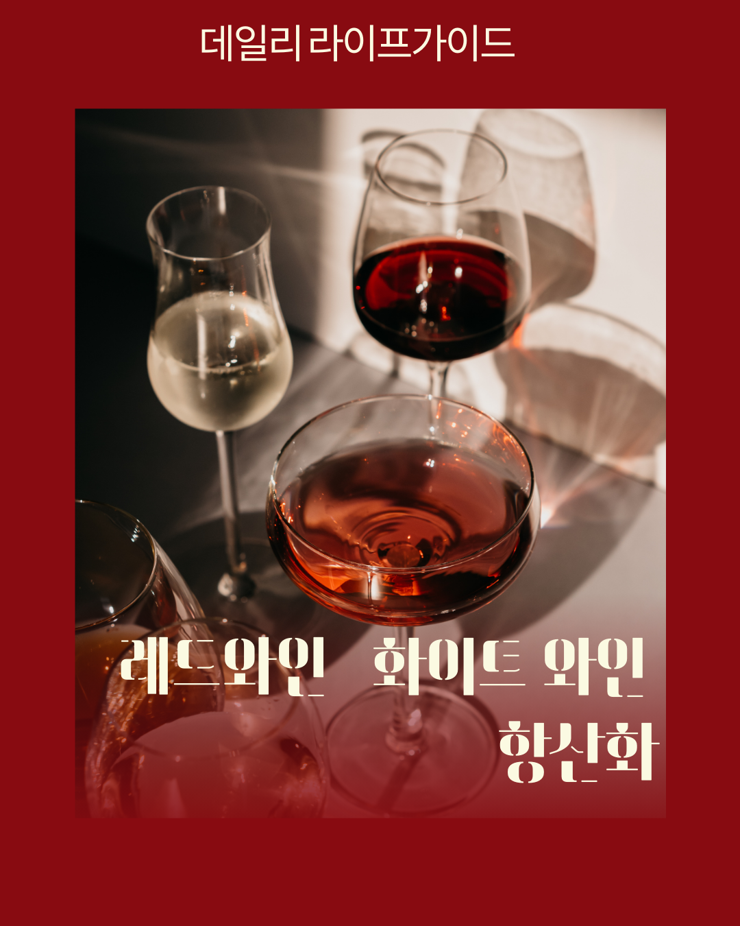 레드와인과 화이트와인 중 항산화물질 더 풍부한 것은?